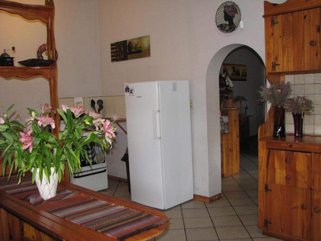Jembjo'S Knysna Lodge & Backpackers Екстер'єр фото